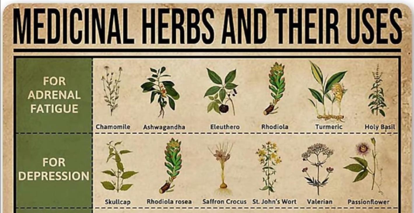 Herbs