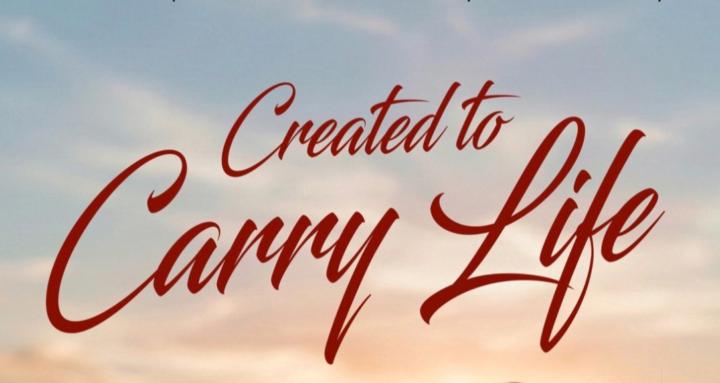 Created to Carry Life- healed