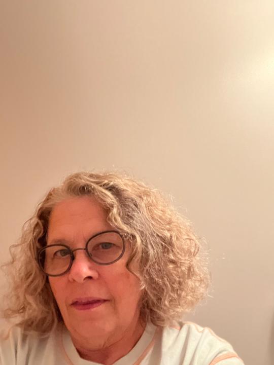 Denise Pullins