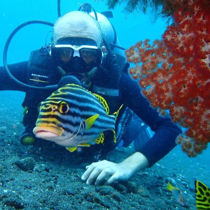 Vikram Aditya