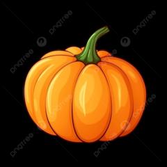 Sameheddine Hachaichi