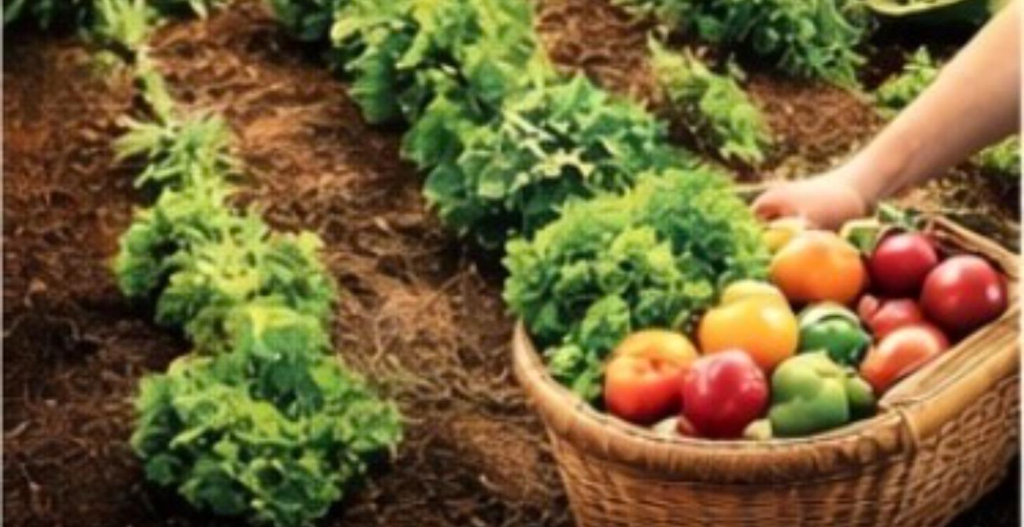 Grow Your Own Food