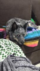 Cynthia Gonzalez Rodríguez