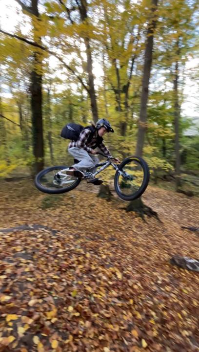 Aleksander Zaidlewicz