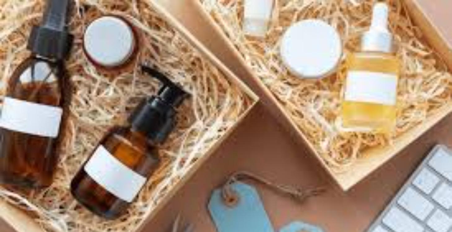 Branding, Logistics, & Market Launch