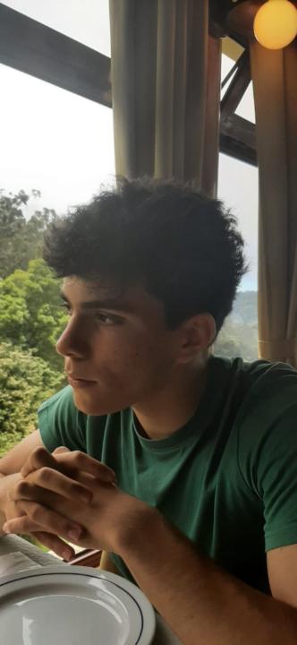 Henrique Silva