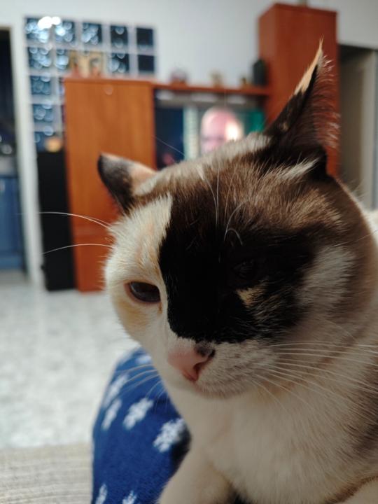 Martha lucia Salazar moreno