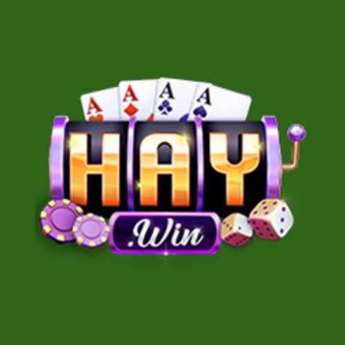 Haywin Ceo