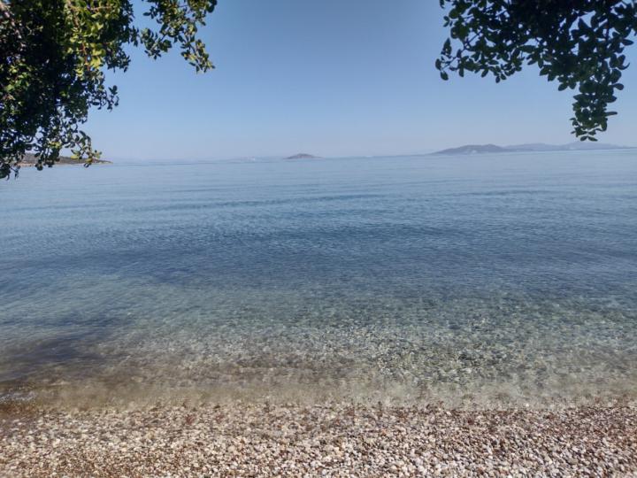Βασιλικη Παπαδημητρίου
