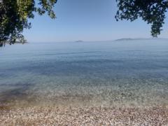 Βασιλικη Παπαδημητρίου