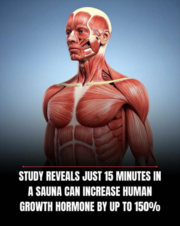 Can saunas release natural hgh? 