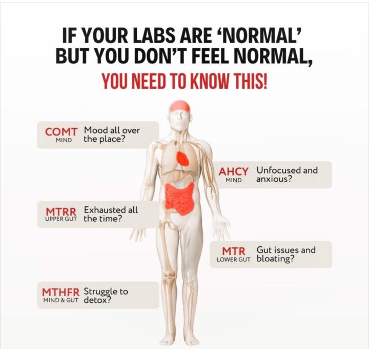 🧬 If Your Labs Are “Normal” But You Don’t Feel Normal… Read This!