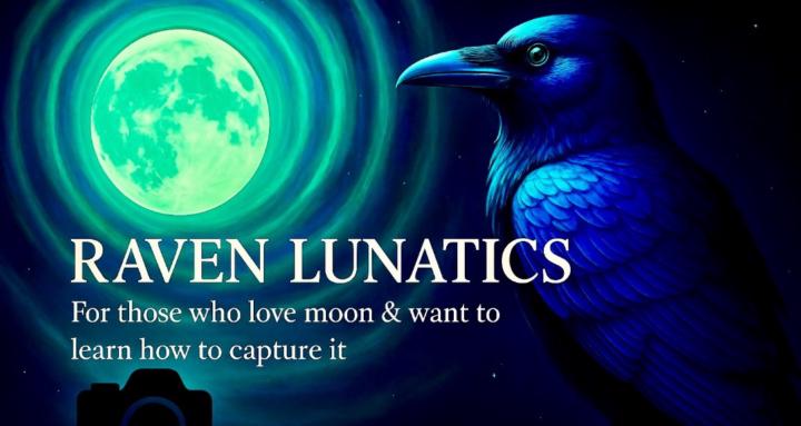 Raven Lunatics