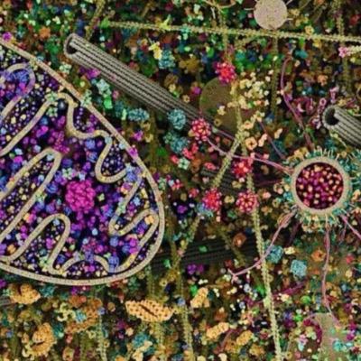 Matthias Lanschützer