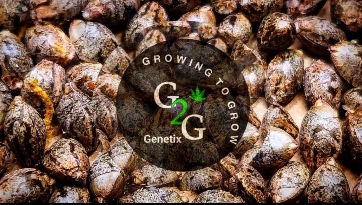 GrowingToGrow ForLife