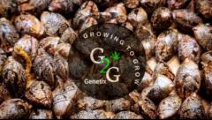 GrowingToGrow ForLife