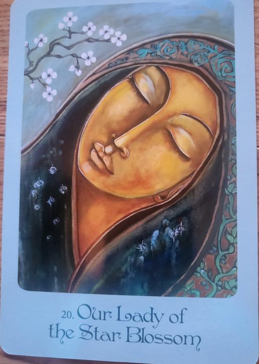 Healing Circle Oracle Card Info