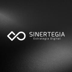 Sinertegia Academy