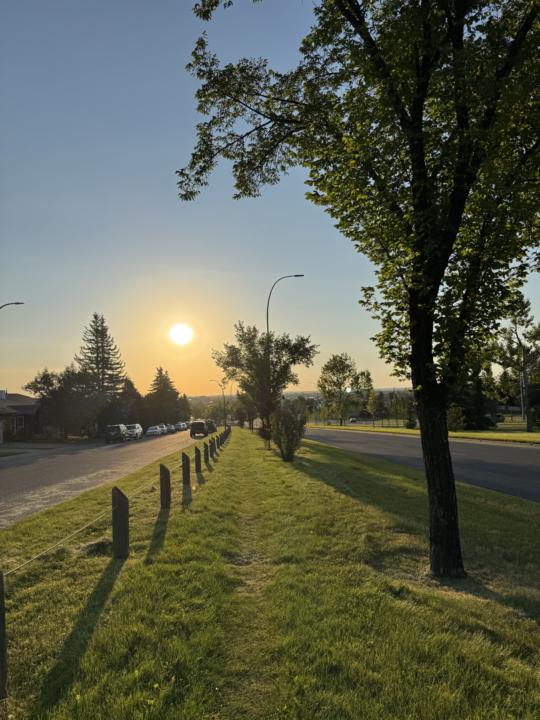 Morning run