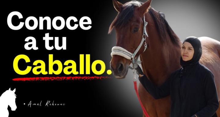 Entre Riendas y Sueños