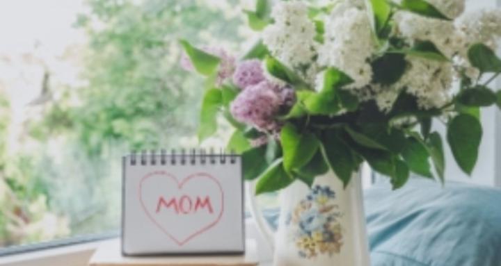 Entrepreneurial Modern Mothers