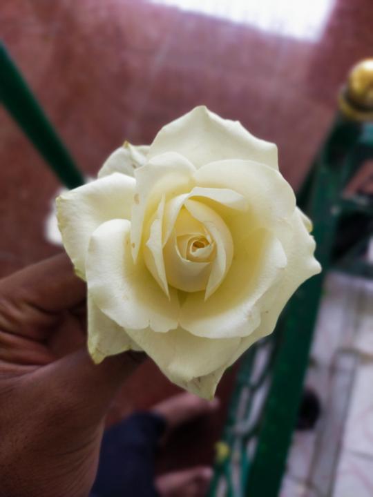 Khazy Zeeshan Ul haq