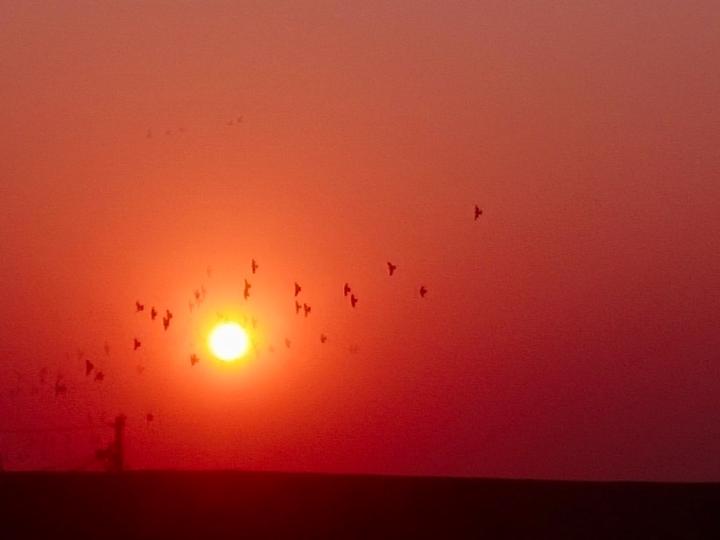 Falak Azeem