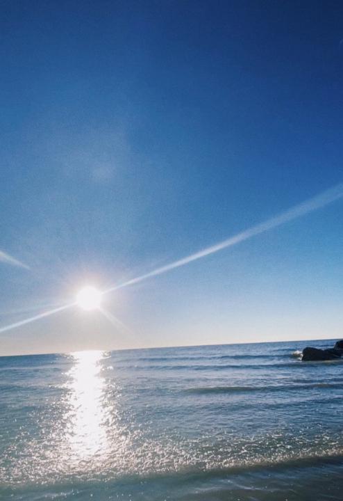 Tạ Thị Hương Mai Hương mai