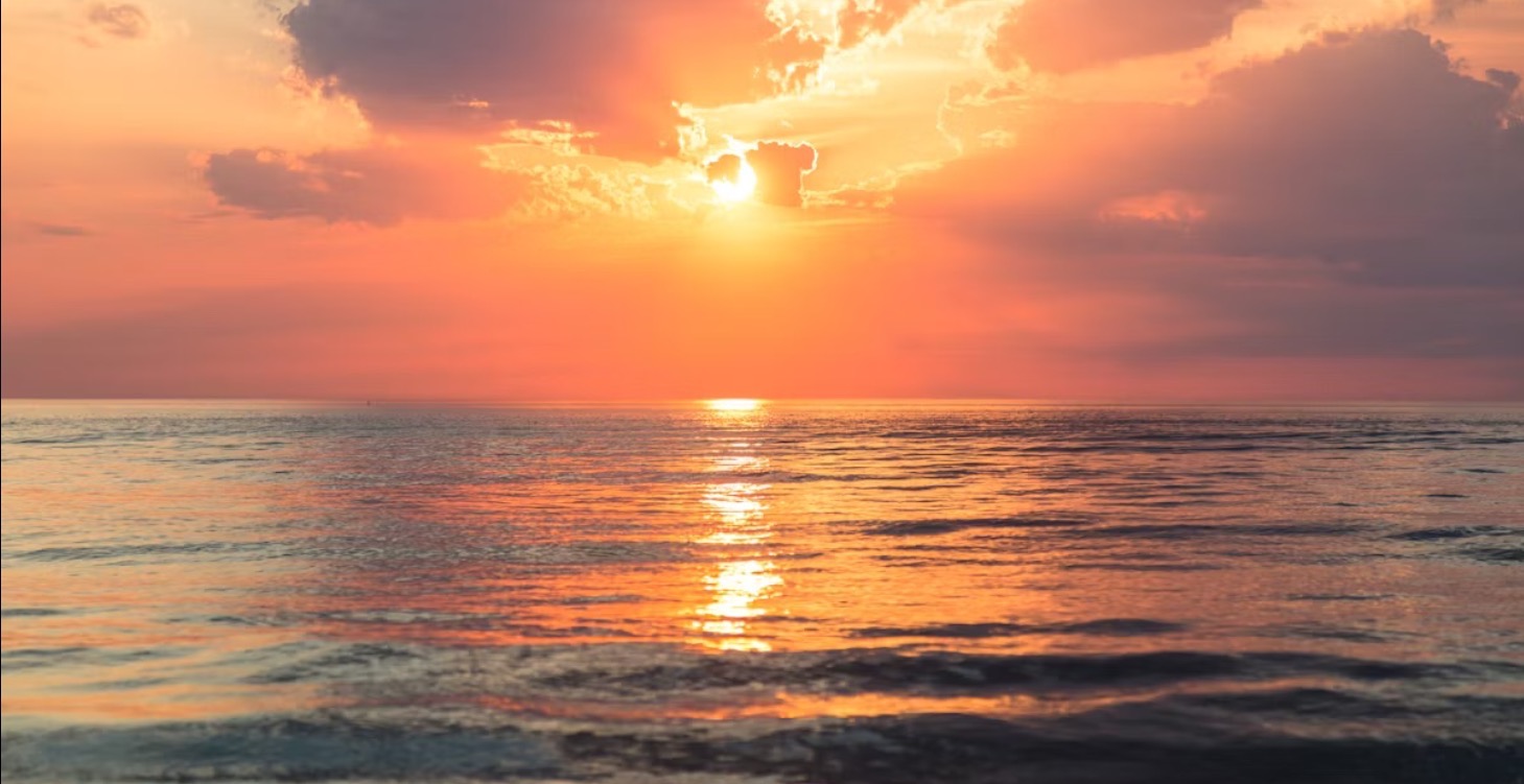 The First 24 Hours: Define your Vision/Take Action