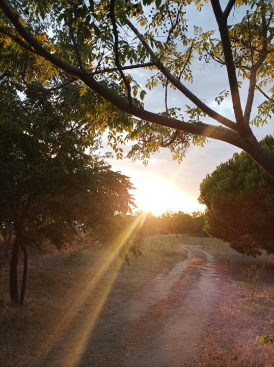 Georgios Papadopoulos