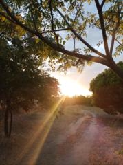 Georgios Papadopoulos