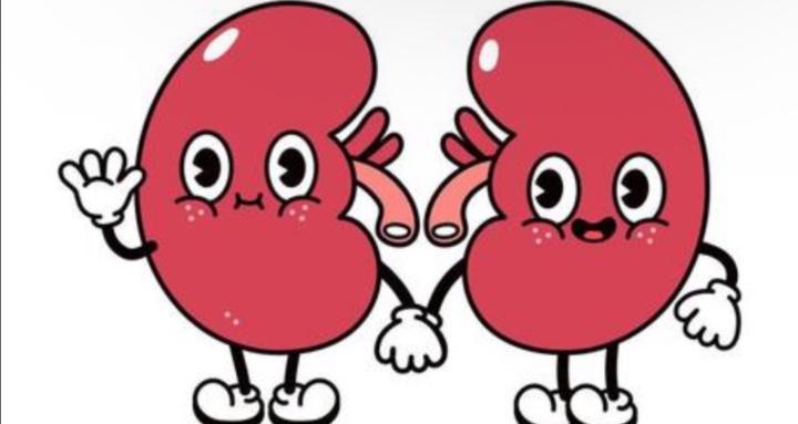 Just Kidney Failure