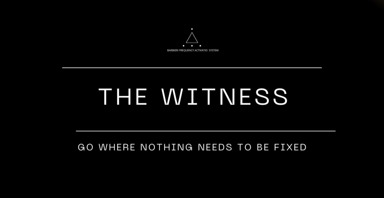 The Witness
