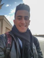 Ahmed Salah