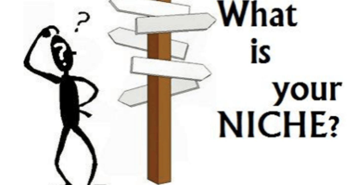 NICHE KI VAN PI RAPID