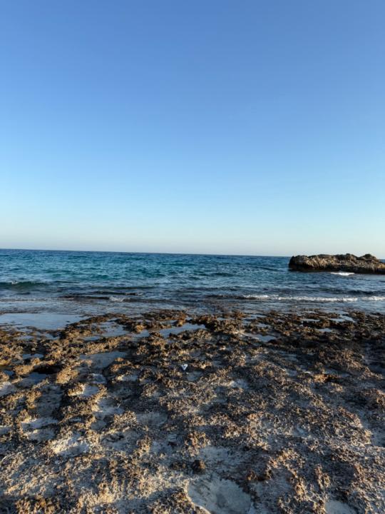 Mashkhal Dzain