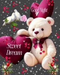 Sahil G