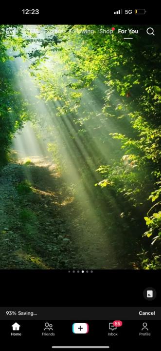 Junior De Los santos