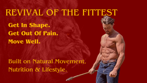 Revival Of The Fittest gallery image
