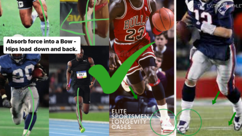 Revival Of The Fittest gallery image