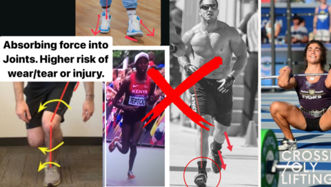 Revival Of The Fittest gallery image