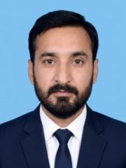Muhammad Aleem Hassan