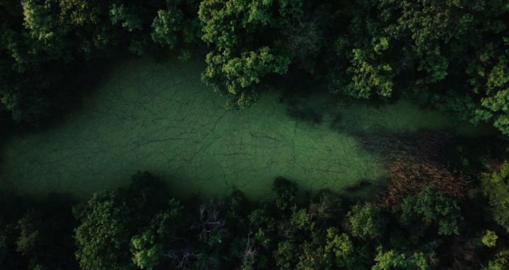 Awakening Journeys 2026