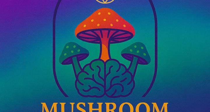 Mushroom Mastery Collective
