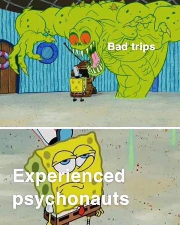 Bad trip ehh?