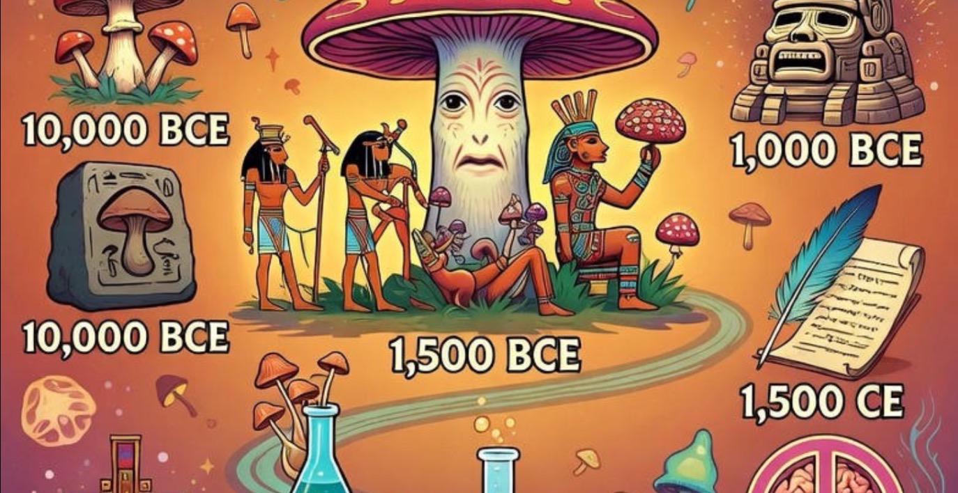 History of Mushrooms