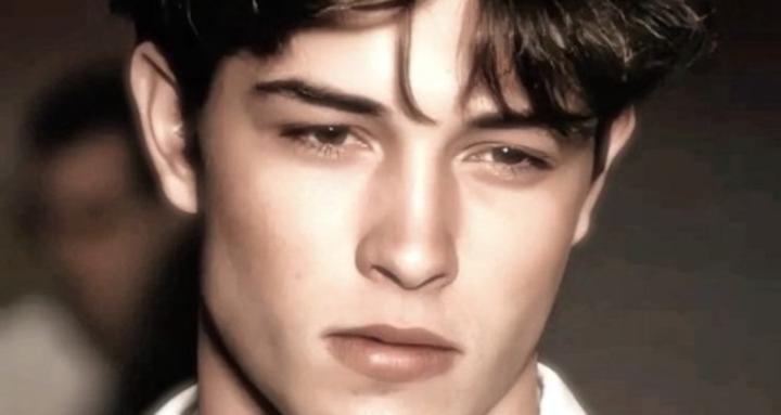 Ai Looksmaxing Assistant