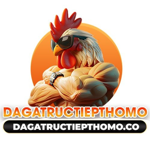 Đá Gà Trực Tiếp THOMO