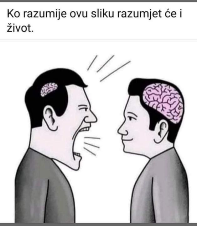Zlatan Marinovic