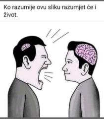 Zlatan Marinovic